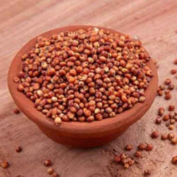 Vatsan Foods