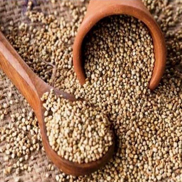 Vatsan Foods