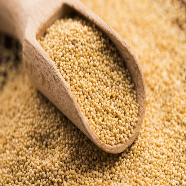Vatsan Foods